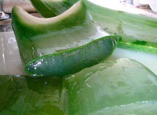 Aloe suppositories help the prostate