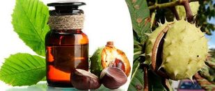 Chestnut tincture - a popular remedy for treating prostatitis