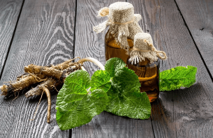 A decoction of burdock root